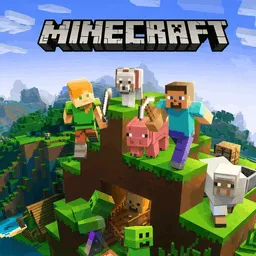Play Minecraft